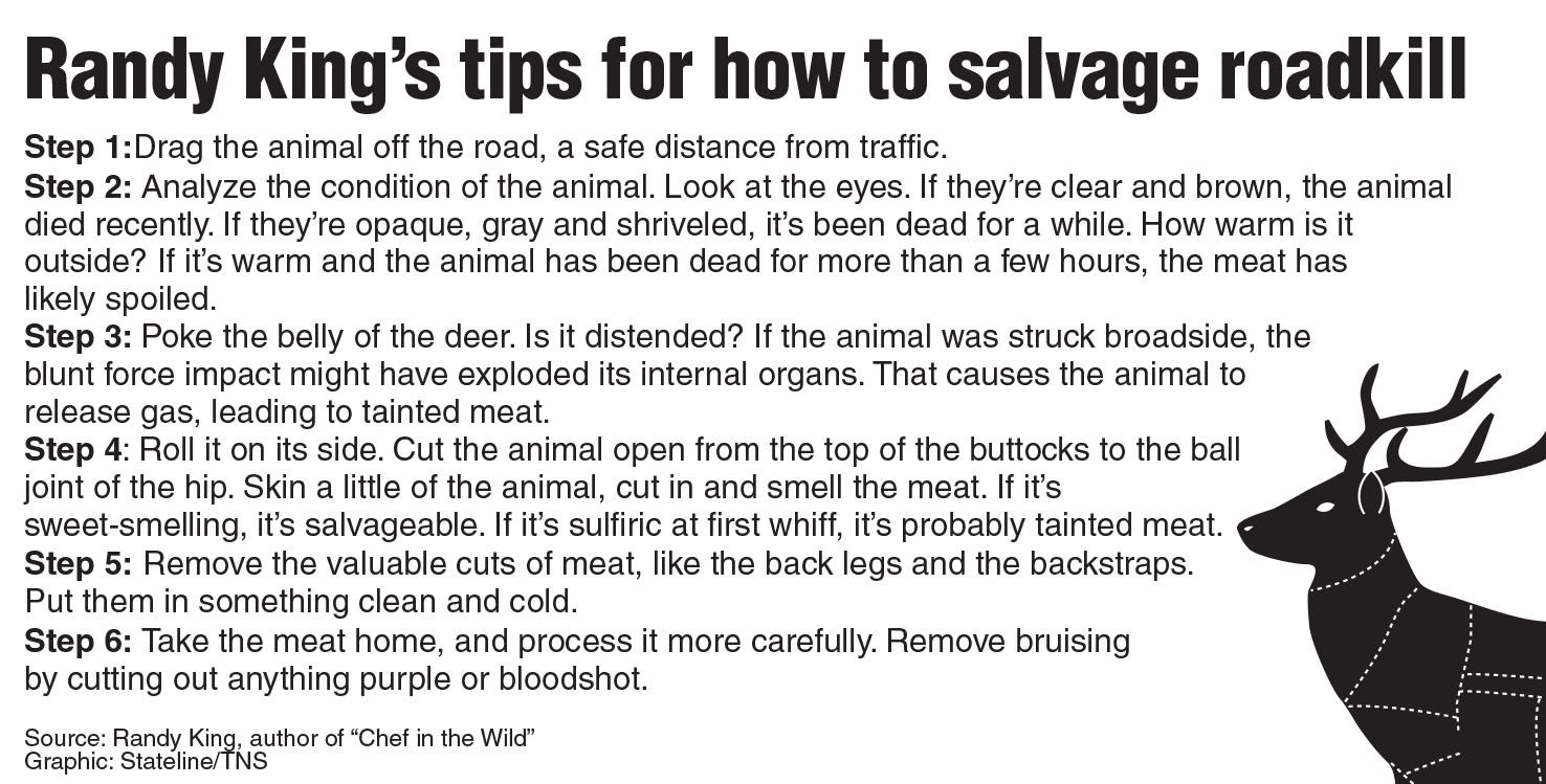 How to safely salvage roadkill